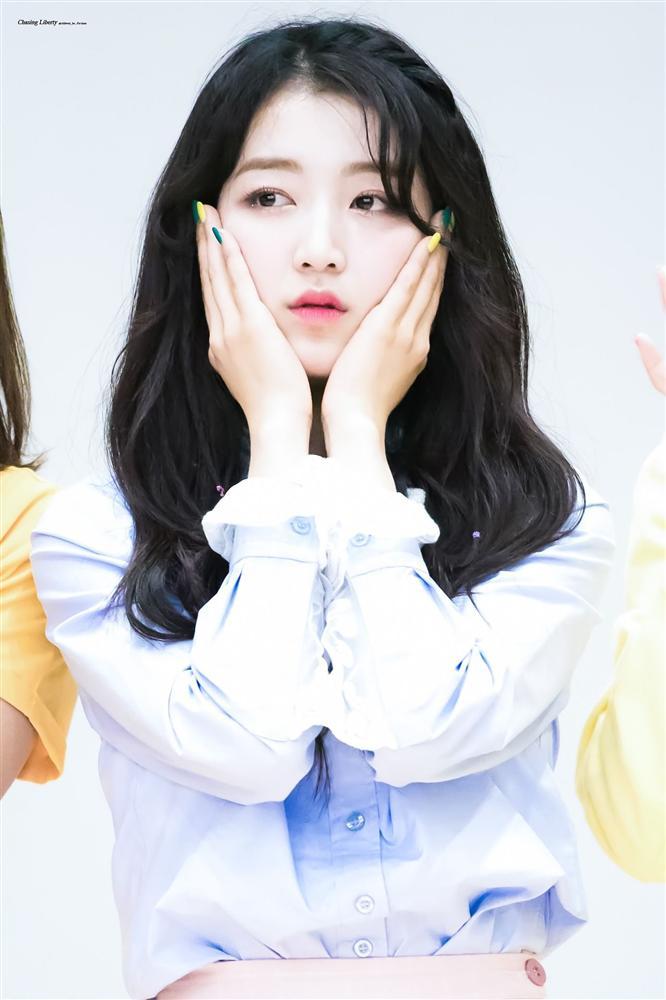 Tử vi Thứ Bảy ngày 2/2/2019 của 12 con giáp: Tết đến Dần vẫn bận ngập đầu, Mão tiền bạc rủng rỉnh-1