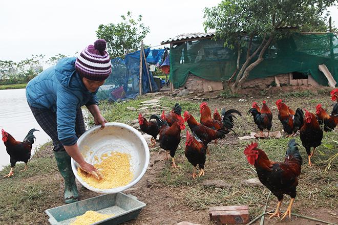 Bà mẹ sinh 14 con ở Hà Nội: 30 năm nay, tôi chưa có cái Tết nào vui-3