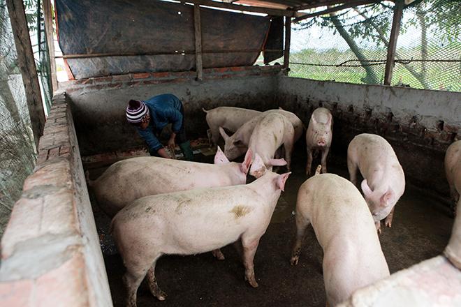 Bà mẹ sinh 14 con ở Hà Nội: 30 năm nay, tôi chưa có cái Tết nào vui-4