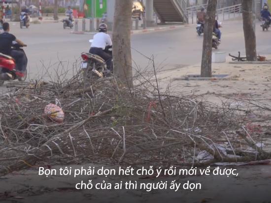 Hàng trăm cành đào rừng, quất cảnh bị bỏ lại ven đường