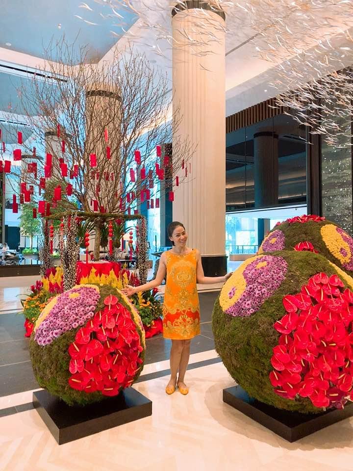 Năm mới gõ cửa, Thu Minh bất ngờ kể lại quá khứ 16 năm... làm dâu hụt thu hút sự chú ý-1