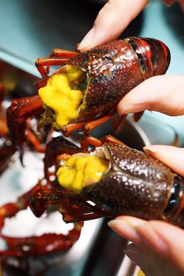 Choáng với con tôm hùm phá kỷ lục Guinness, có tuổi thọ lên tới 100 năm-3