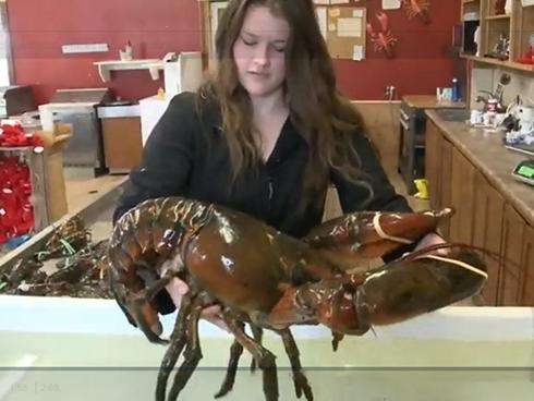 Bịt mắt đếm tiền nhanh như máy để lập kỷ lục thế giới tại Trung Quốc-1