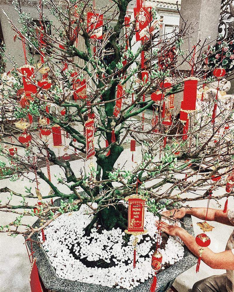 Trong biệt thự dát vàng, Lan Khuê và chồng đại gia ăn diện cực đẹp đôi đón mùa xuân mới-5