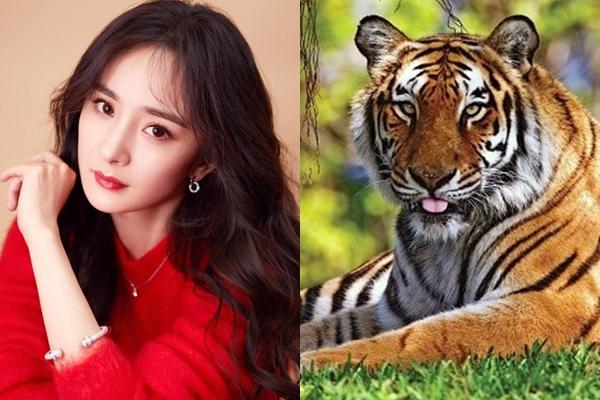 Nhờ Thần Tài hộ mệnh, 4 con giáp này sẽ trúng số độc đắc đúng dịp Tết Nguyên Đán 2019-1