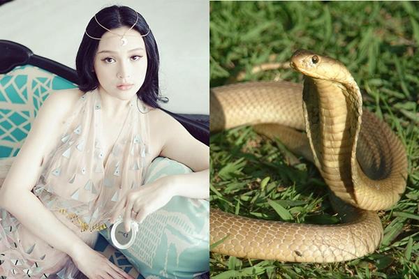 Nhờ Thần Tài hộ mệnh, 4 con giáp này sẽ trúng số độc đắc đúng dịp Tết Nguyên Đán 2019-2