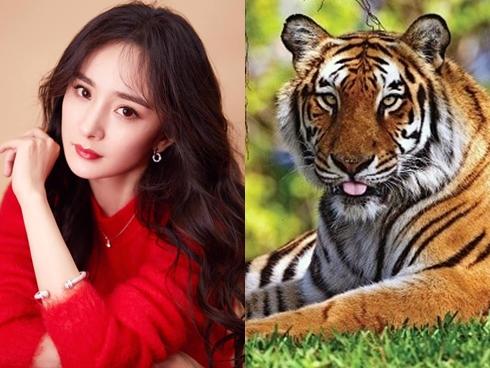 Thắp hương ngày tết sao cho đúng, tưởng dễ nhưng không phải ai cũng biết!-4