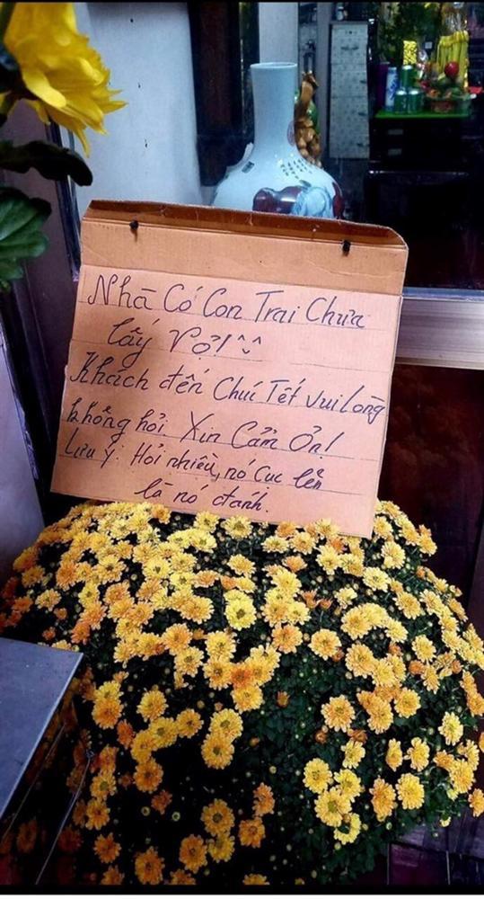 Trend hot nhất Tết Kỷ Hợi: Nhà có con trai chưa vợ, hỏi nhiều nó đánh-2