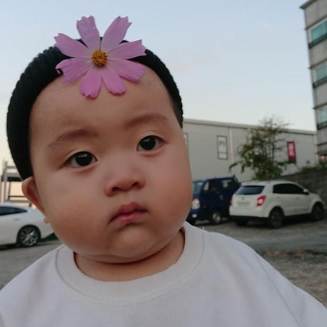 2-year-old Korean boy is famous online for his funny expression-1