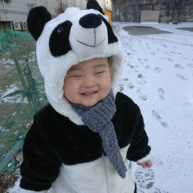 2-year-old Korean boy is famous online for his funny expression-6