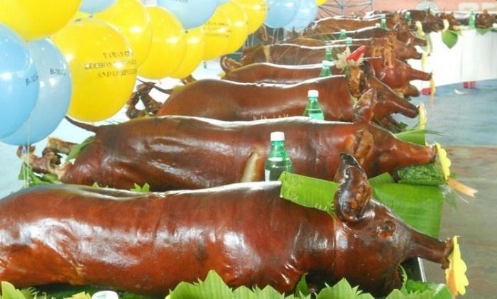 Nhân năm Kỷ Hợi xúng xính áo quần tham dự 3 lễ hội heo độc đáo, thú vị nhất trên thế giới-6