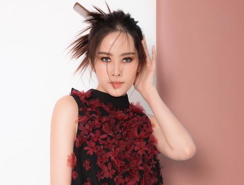 Vừa đầu năm Kỷ Hợi, Nam Em - Trấn Thành đã nổi như cồn với những ồn ào không tích cực-2