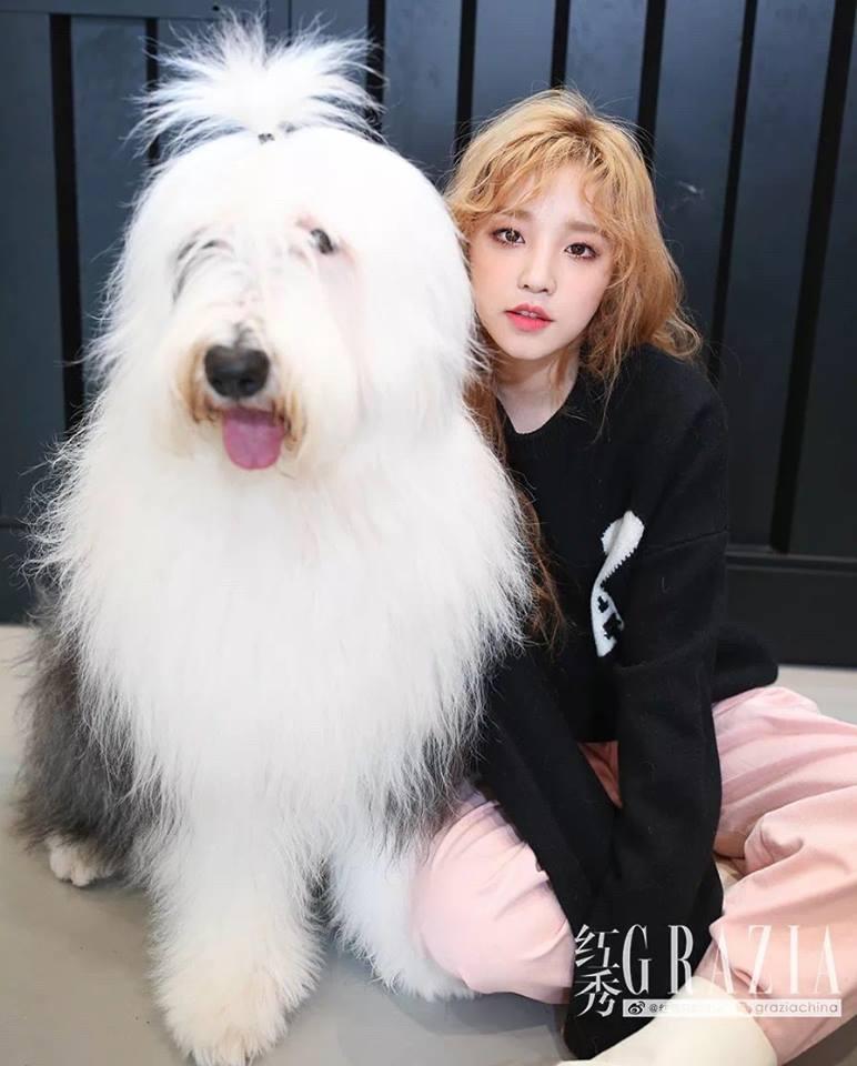 Tử vi Thứ Ba ngày 12/2/2019 của 12 con giáp: Sửu dễ bị tiểu nhân lợi dụng, Mão tình cảm ngọt ngào đáng ghen tị-3