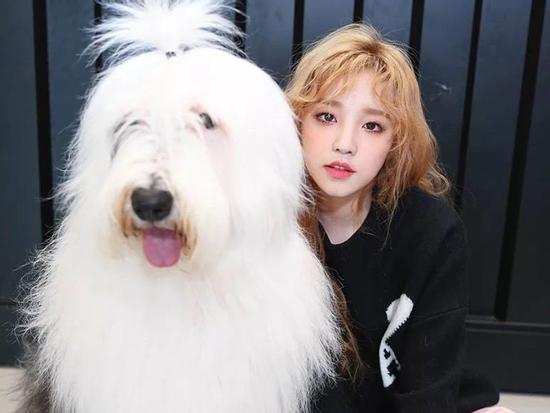 Tử vi Thứ Ba ngày 12/2/2019 của 12 con giáp: Sửu dễ bị tiểu nhân lợi dụng, Mão tình cảm ngọt ngào đáng ghen tị