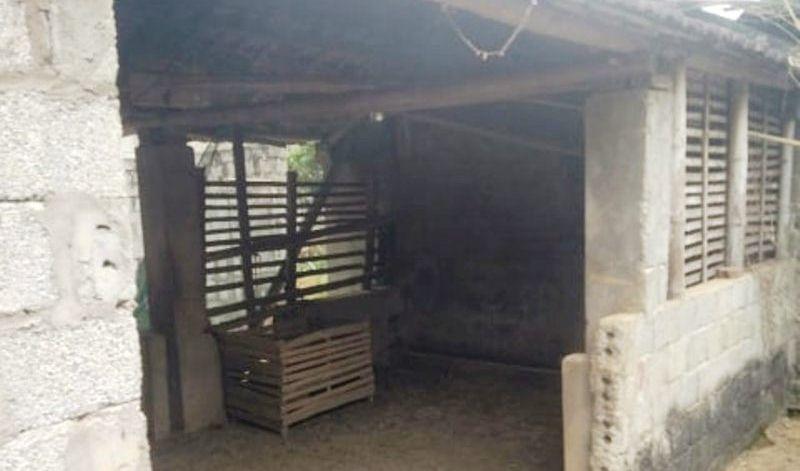 Thanh Hóa: Trưởng công an xã chết treo cổ ở chuồng trâu-1