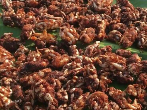 Cách bảo quản và xử lý đồ ăn thừa nhanh chóng sau Tết-4