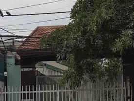Hà Nội: Nghi án chồng giết vợ, ném xác xuống sông Hồng Hà Nội: Nghi án chồng giết vợ, ném xác xuống sông Hồng