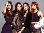 BlackPink và những dự định mới trong năm nay: Coachellla, tour diễn vòng quanh thế giới và còn hơn thế nữa