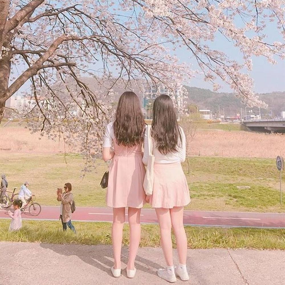 Tử vi Chủ Nhật ngày 17/2/2019 của 12 con giáp: Dần hiếu thắng mà hỏng việc, Ngọ ngập tràn tiếng cười hạnh phúc-1