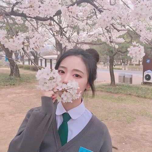 Tử vi Chủ Nhật ngày 17/2/2019 của 12 con giáp: Dần hiếu thắng mà hỏng việc, Ngọ ngập tràn tiếng cười hạnh phúc-2