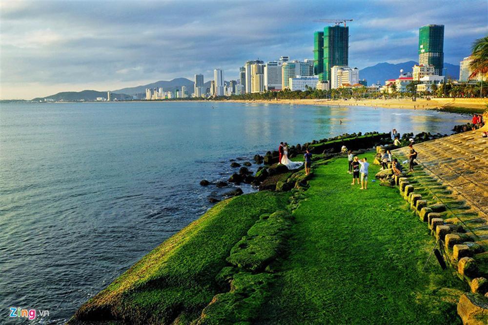 Đầu xuân rủ nhau check-in bãi rêu tuyệt đẹp ở Nha Trang-1