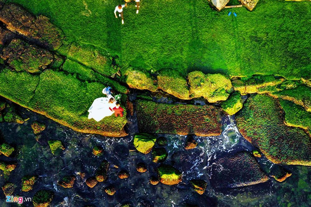 Đầu xuân rủ nhau check-in bãi rêu tuyệt đẹp ở Nha Trang-2