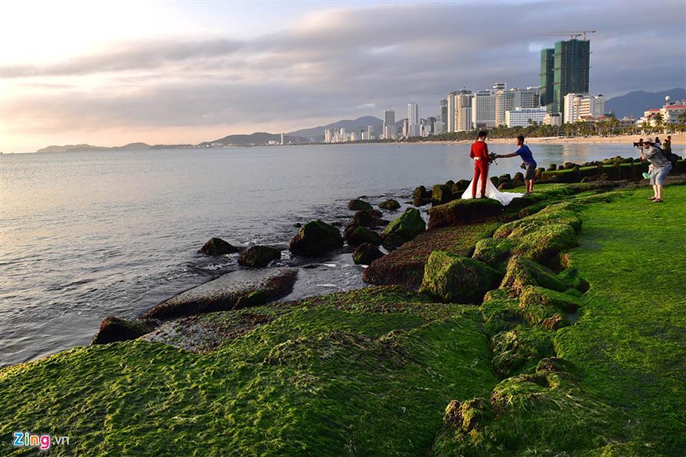 Đầu xuân rủ nhau check-in bãi rêu tuyệt đẹp ở Nha Trang-4