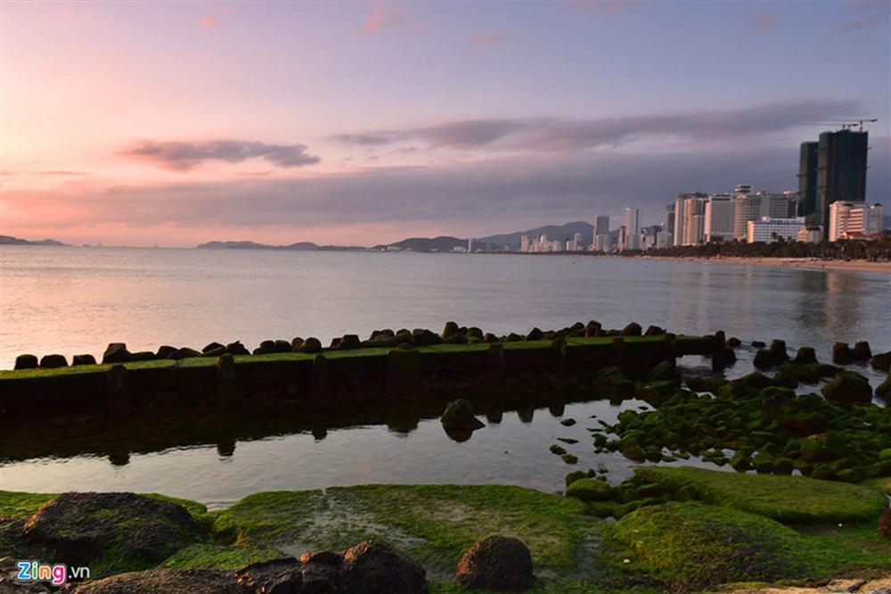 Đầu xuân rủ nhau check-in bãi rêu tuyệt đẹp ở Nha Trang-11