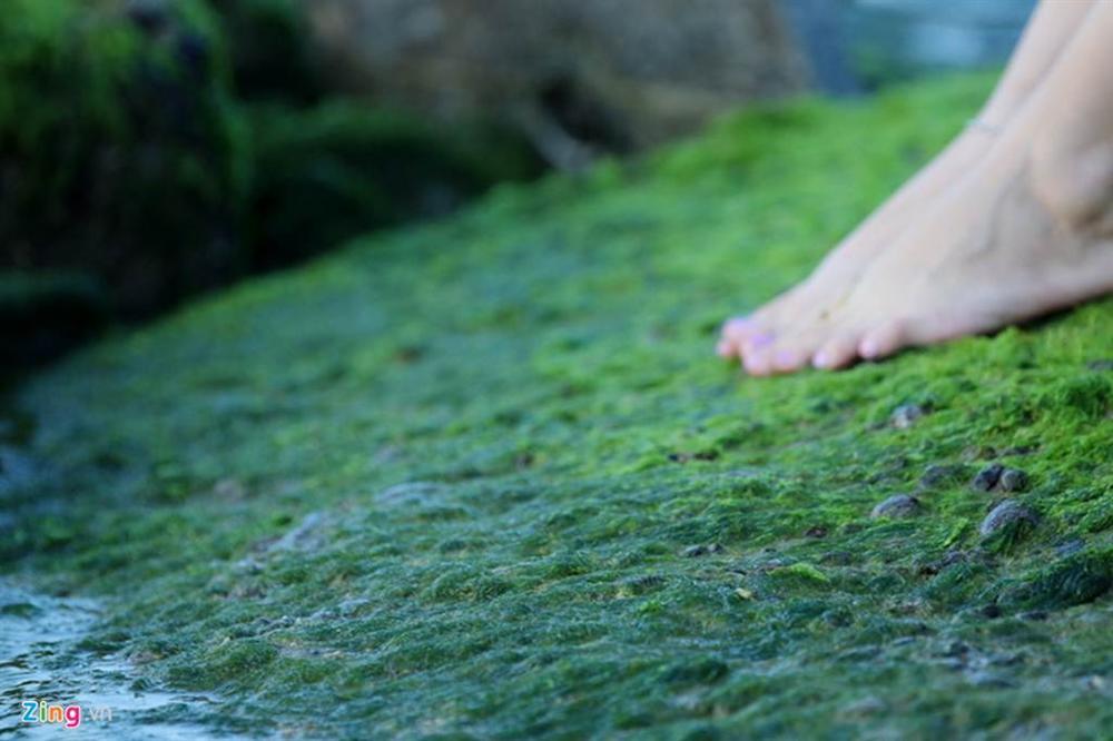 Đầu xuân rủ nhau check-in bãi rêu tuyệt đẹp ở Nha Trang-7