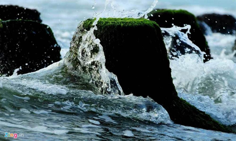 Đầu xuân rủ nhau check-in bãi rêu tuyệt đẹp ở Nha Trang-9