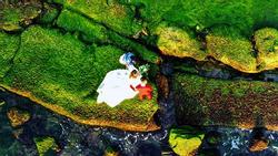 Đầu xuân rủ nhau check-in bãi rêu tuyệt đẹp ở Nha Trang