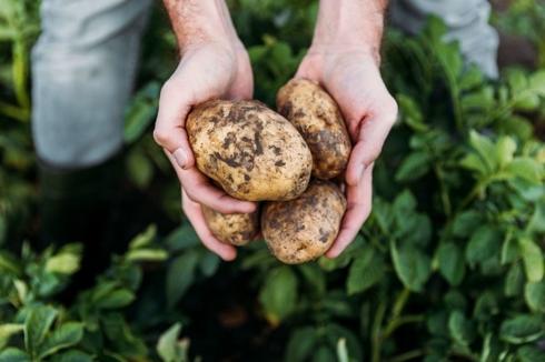 Đồ ăn sống nguy hại khôn lường như thế nào?-8