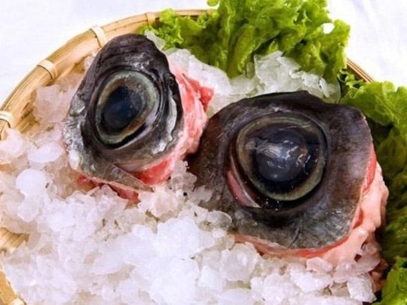 Từ Chúa tể nọc độc dưới đại dương tới món ăn có giá trị ẩm thực-5