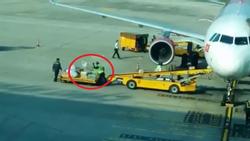 Ném hành lý như ném gạch, nhân viên sân bay Đà Nẵng bị cảnh cáo