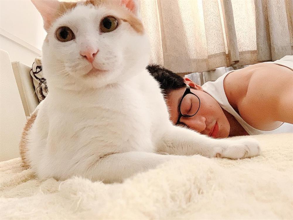 Harry Lu suýt bị trật khớp vai khi mải tự sướng với mèo cưng-1