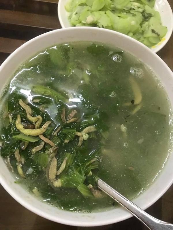 Chả rươi chẳng ai lạ nhưng cô gái nấu theo kiểu này khiến dân mạng chê tơi tả, nhìn bát canh mà kinh hãi-1