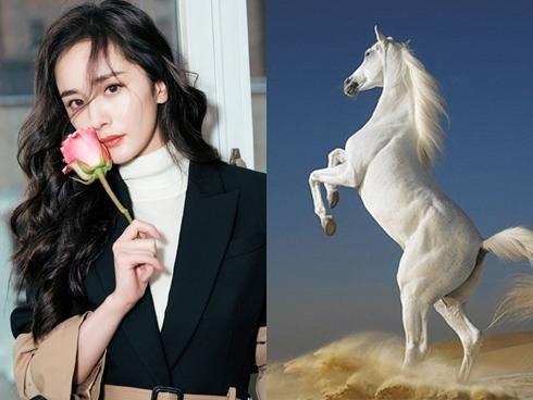 3 con giáp phải hết sức đề phòng kẻ tiểu nhân đâm sau lưng trong tháng 3/2019-4