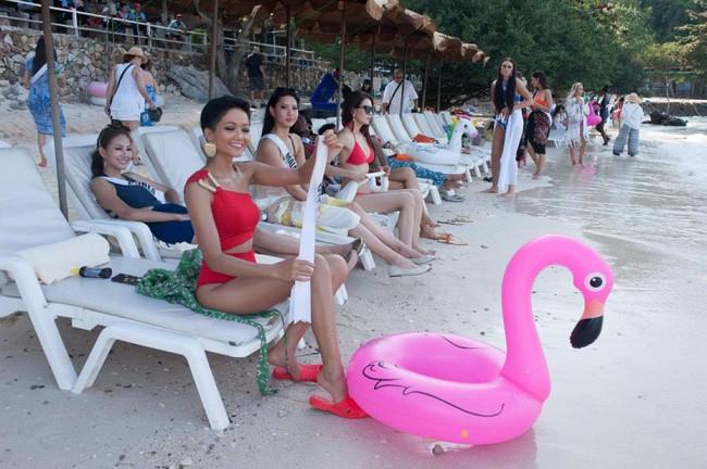 Sau tất cả, đây mới là món giầy hiệu mà Hoa hậu HHen Niê yêu nhất với giá chỉ 10.000 đồng-4