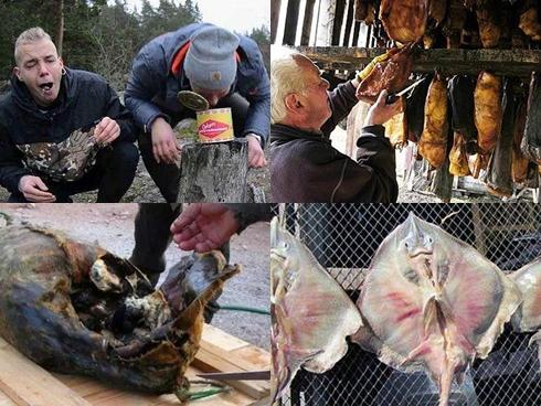 4 loài động vật lên men thối nhất thế giới nhưng tất cả đều được ăn ngon lành