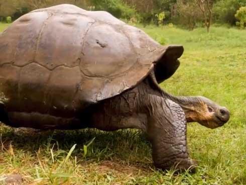 Tham quan thánh địa động vật hoang dã ở Ecuador