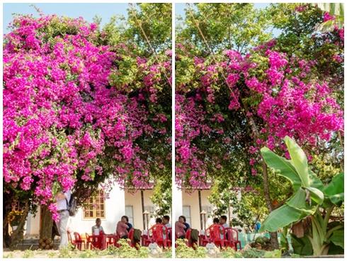 Không ai dám đi chân trần trên hòn đảo này và đây là lý do-7