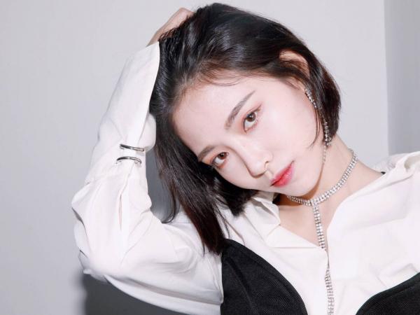 Tử vi tuần mới của 12 con giáp từ 25/2 đến 3/3/2019: Mùi gặp trục trặc sức khoẻ, Tuất tránh thị phi vào đầu tuần-1