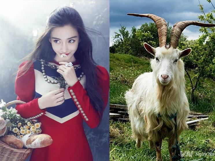 Điểm tên 3 con giáp không THIẾU TIỀN, không THIẾU LỘC, may mắn ngập tràn kể từ năm 2019-4