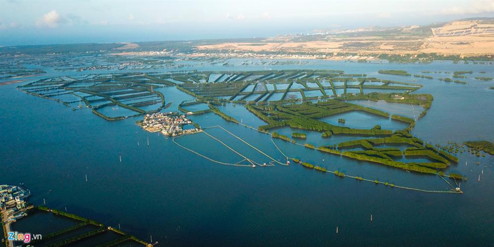 Cồn Chim - đảo ngọc sinh thái tuyệt mỹ bên phố biển Quy Nhơn-1