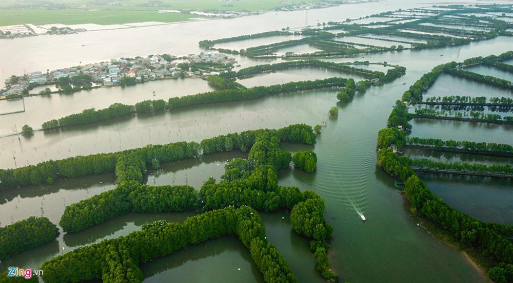 Cồn Chim - đảo ngọc sinh thái tuyệt mỹ bên phố biển Quy Nhơn-3