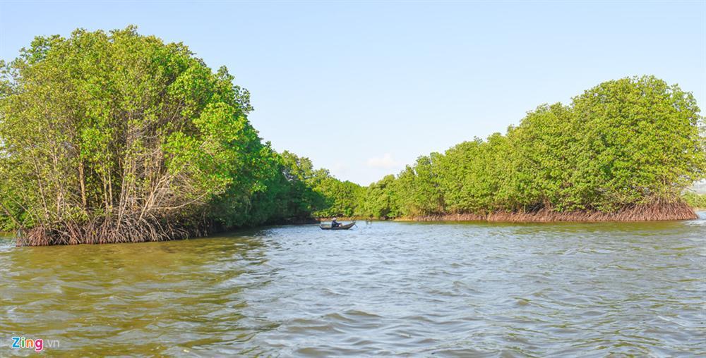 Cồn Chim - đảo ngọc sinh thái tuyệt mỹ bên phố biển Quy Nhơn-4