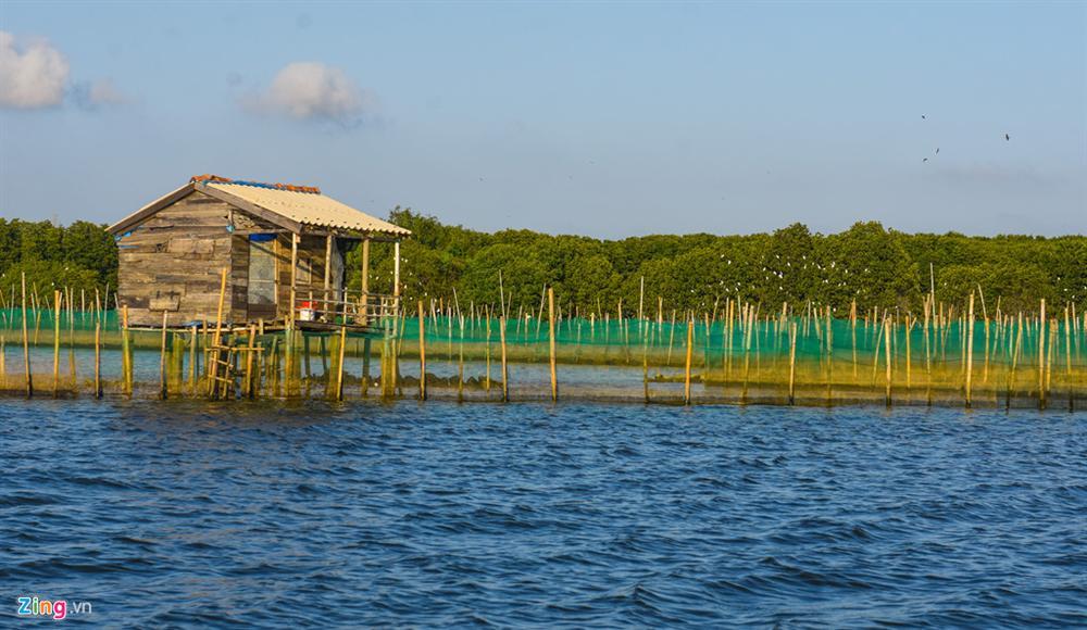 Cồn Chim - đảo ngọc sinh thái tuyệt mỹ bên phố biển Quy Nhơn-13