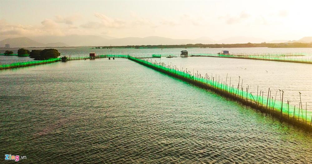 Cồn Chim - đảo ngọc sinh thái tuyệt mỹ bên phố biển Quy Nhơn-14