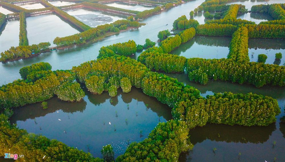 Cồn Chim - đảo ngọc sinh thái tuyệt mỹ bên phố biển Quy Nhơn-15