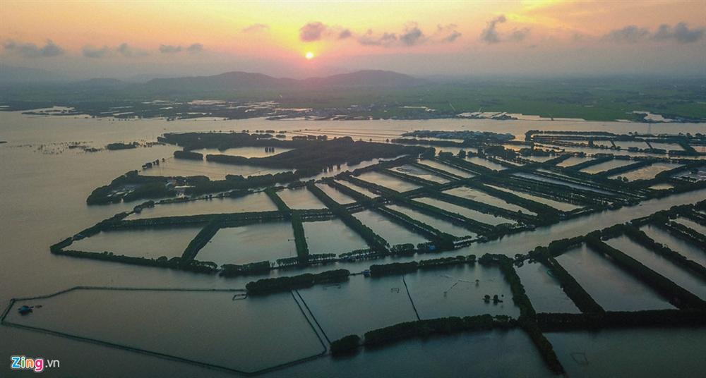 Cồn Chim - đảo ngọc sinh thái tuyệt mỹ bên phố biển Quy Nhơn-16